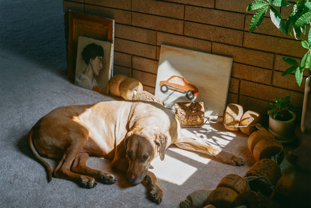 L'intérieur absolument hippie de Tracy Wilkinson à Los Angeles