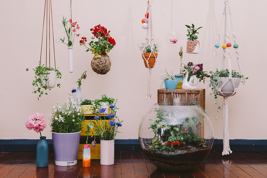 Plantes d'intérieur : la nouvelle tendance déco : Femme Actuelle Le MAG