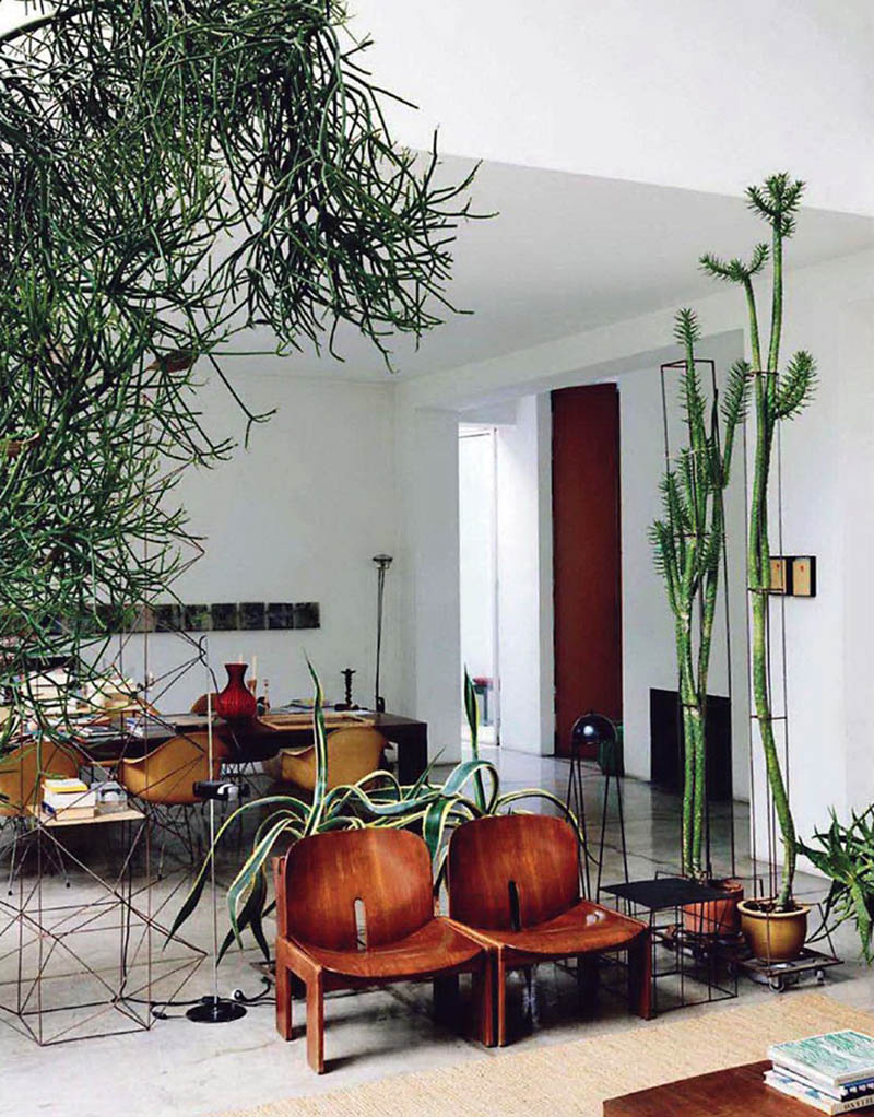 L'intérieur de Maurizio Zucchi || Loft peuplé de cactés L'intérieur de Maurizio Zucchi || Loft peuplé de cactés