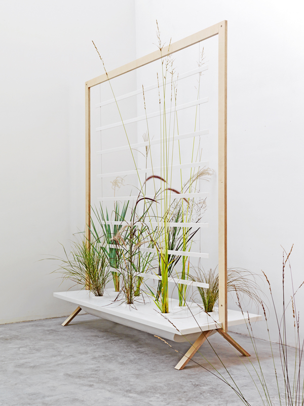 Nature Individuelle par Patrick Nadeau Nature Individuelle par Patrick Nadeau