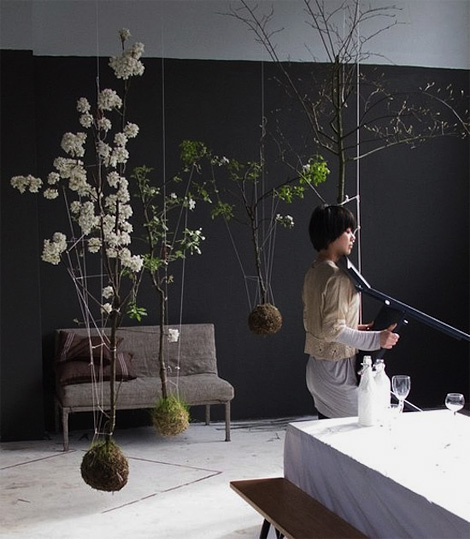 String Gardens Australie || kokedama String Gardens Australie || kokedama