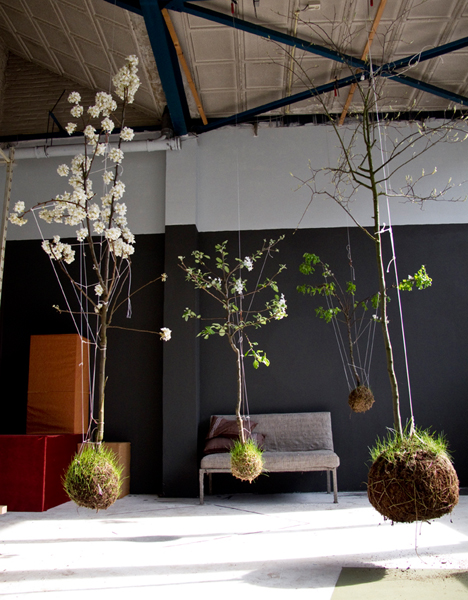 String Gardens Australie || kokedama