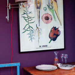 murs-de-couleur-vive_Salome-Gunter-Franschoek_01