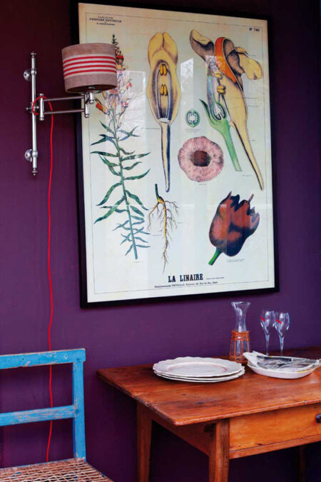 murs-de-couleur-vive_Salome-Gunter-Franschoek_01