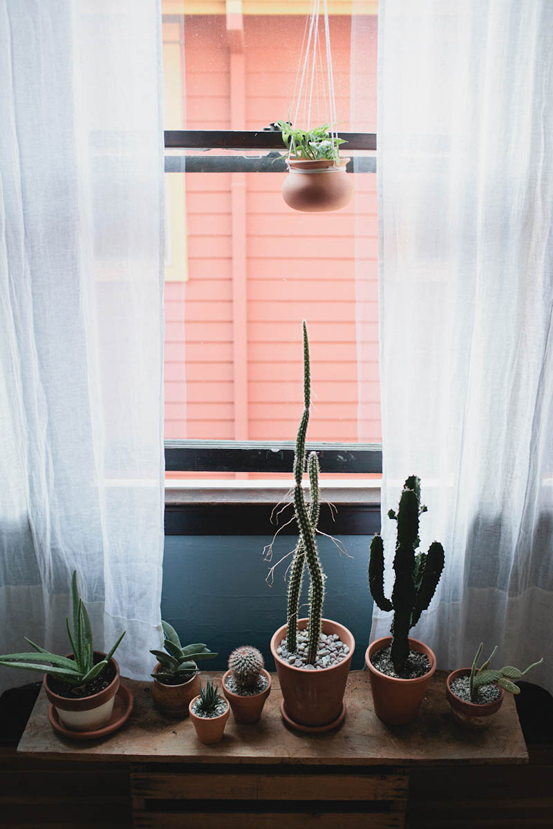 L'intérieur hippie minimaliste de John and Jen Vitale
