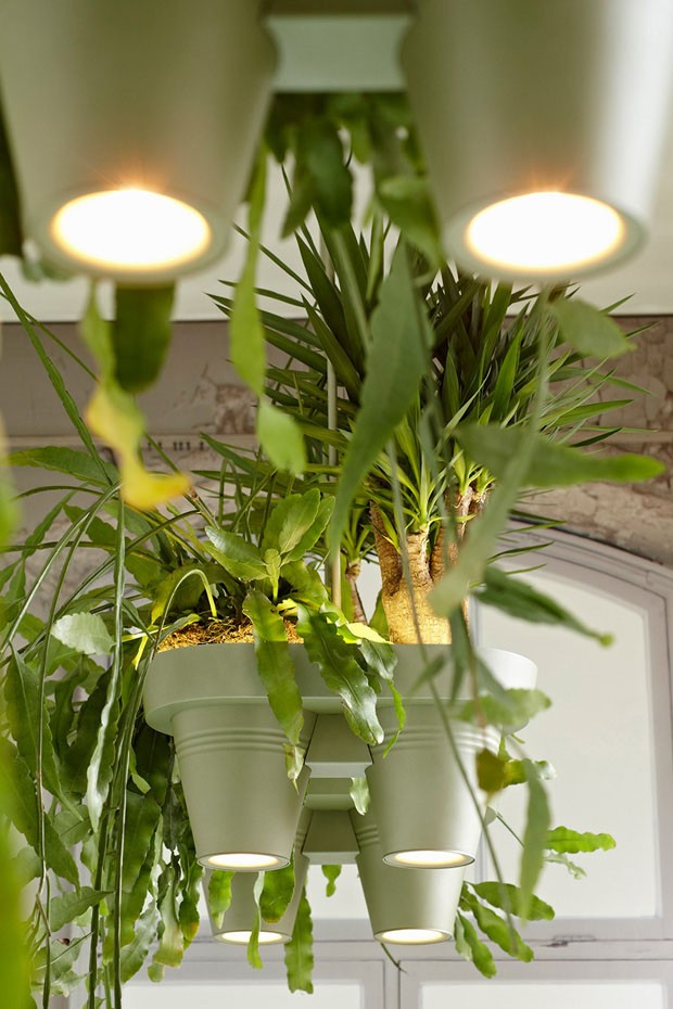 Bucketlight tropical plant fixtures by Roderick Vos