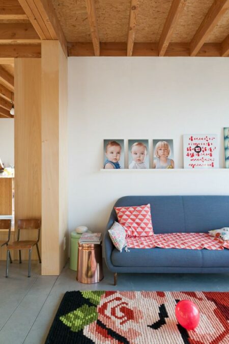 dnA house BLAF