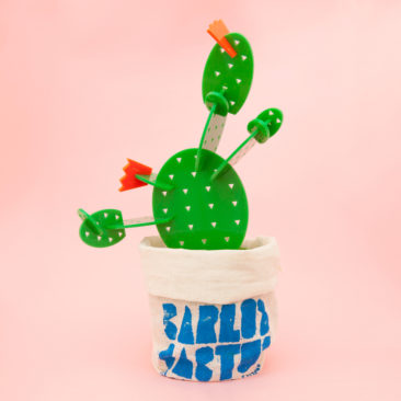 La cactus en kit de Say hola !