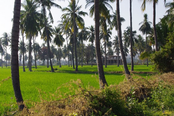 Voyage en Inde - Anegundi village (Hampi) | Turbulences Déco