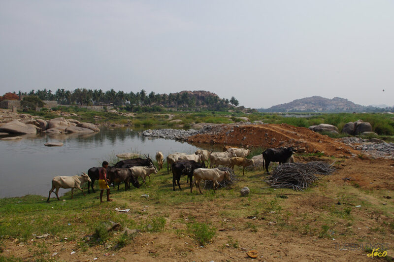 Voyage en Inde - Anegundi village (Hampi) | Turbulences Déco Voyage en Inde - Anegundi village (Hampi) | Turbulences Déco