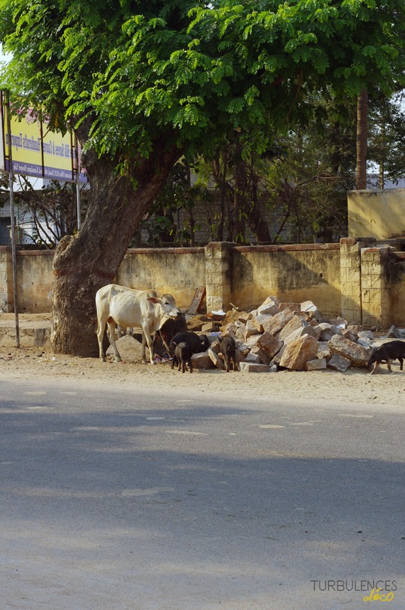 voyage-en-Inde_site-de-Hampi_3