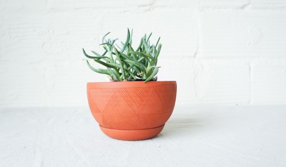 Spartan shop - design Kati von Lehman