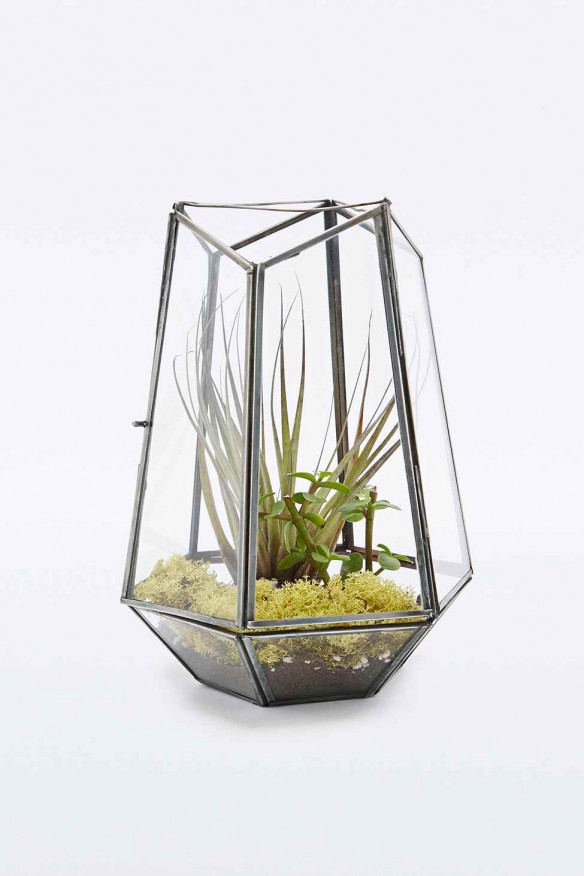 Urban Outfitters - Urban grow terrarium