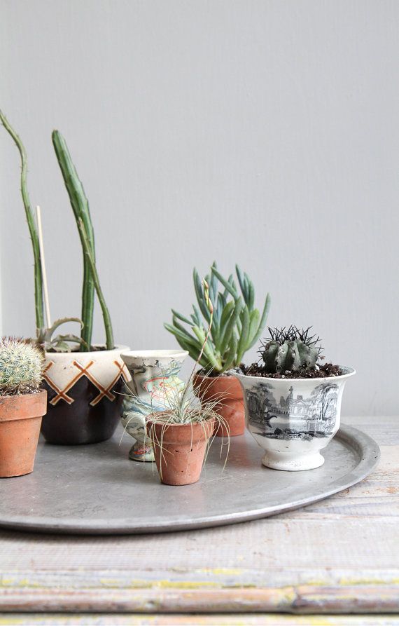 Pots pour plantes, cache-pots: carnet d'inspirations