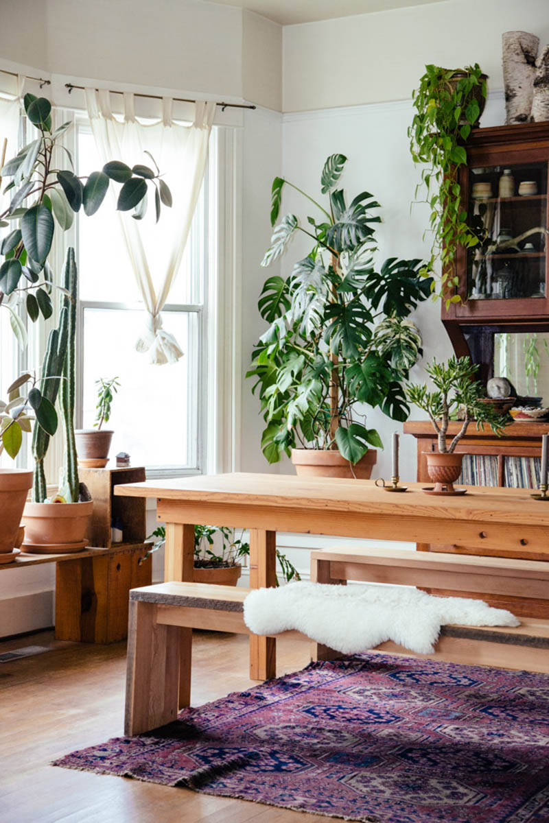 Une maison pleine de plantes à Portland