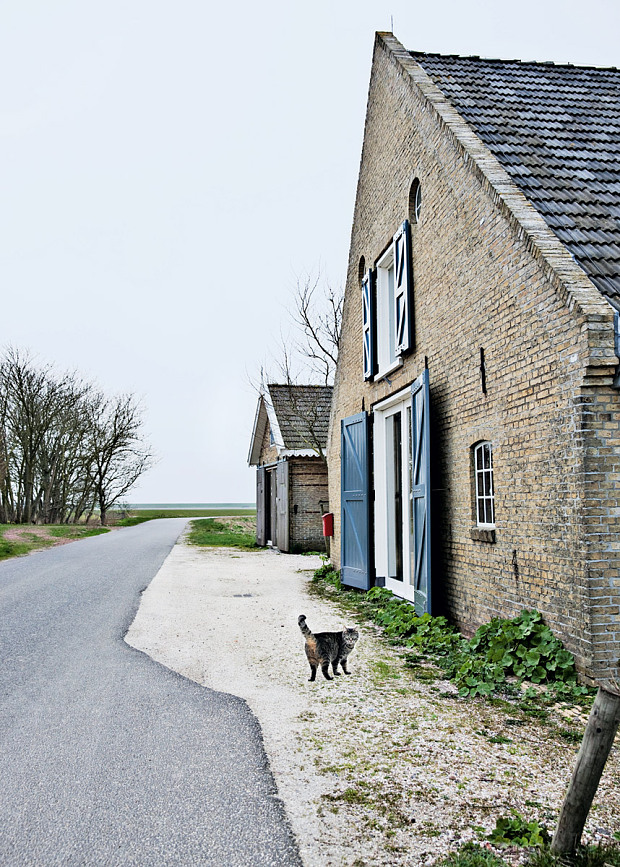 Modernité rustique pour la ferme d'Ina & Matt, rénovée aux Pays Bas, dans un style moderne rustique