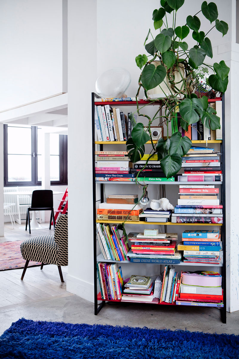 Bibliothèque de livres et luminaires design