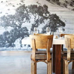 LA-Import-Farmshop-in-marin-california