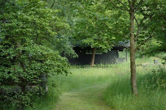 Une maison de campagne en blanc et noir sur fond de verdure // Une allée de gazon tondu au milieu du gazon non tondu