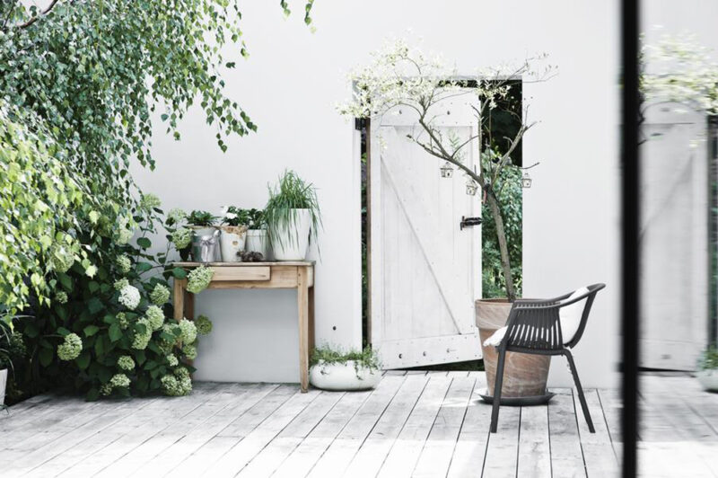 Une cour extérieur avec terrasse de bois et profusion de plantes vertes