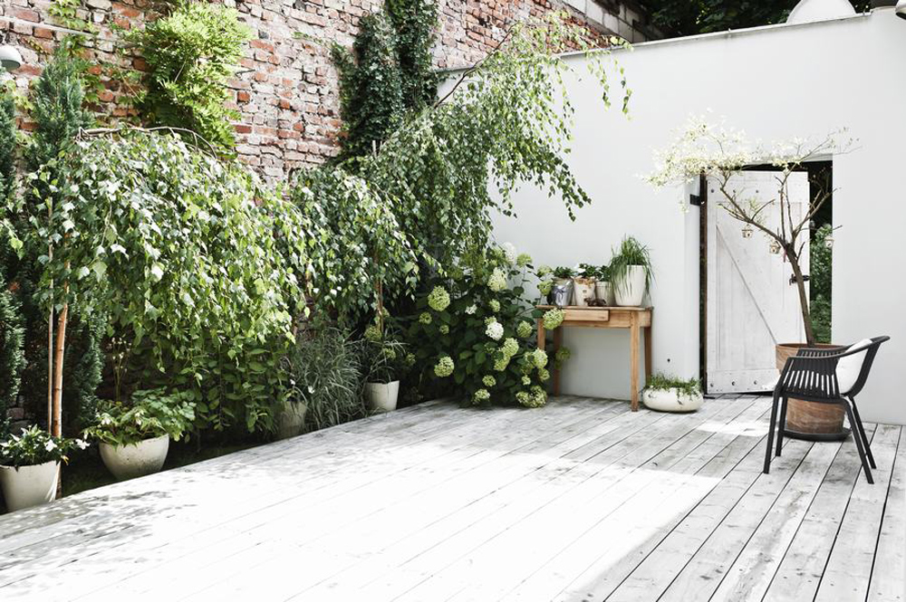 Une cour avec terrasse en bois et profusion de plantes