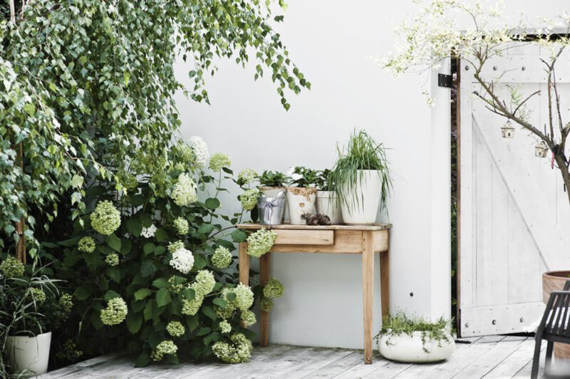 Une cour extérieur avec terrasse de bois et profusion de plantes vertes