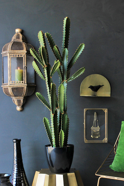 Abigail Ahern design - Great Sandy faux cactus for Rockett St Georges