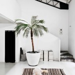 [ Inspiration du déco ] Des plantes, du design, du vert…