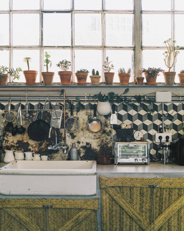 Le studio Las Letras à Madrid, peuplé de plantes vertes en mode Urban Jungle
