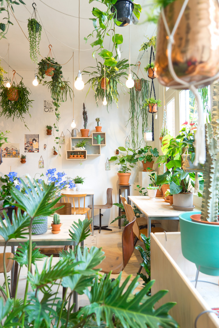 La boutique de plantes vertes Wildernis à Amsterdam