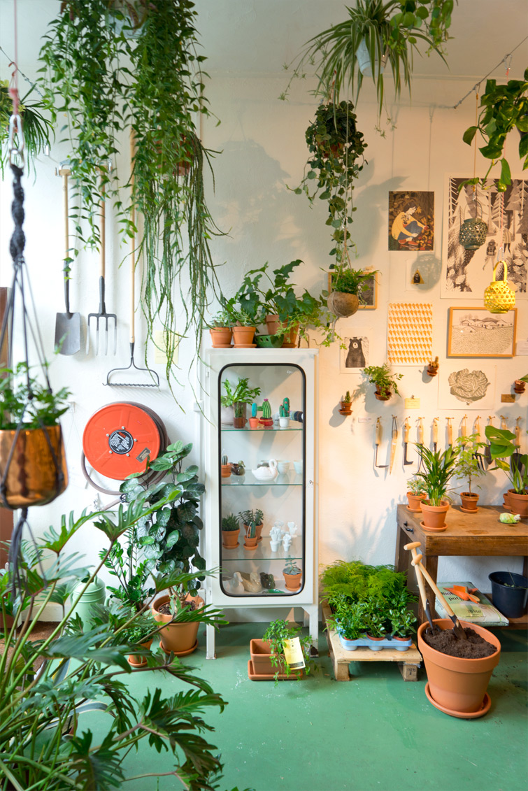 La boutique de plantes vertes Wildernis à Amsterdam