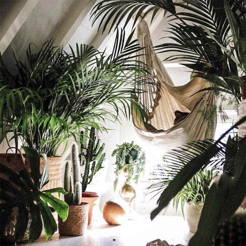 L'intérieur urban jungle de Manon Hanssen Meyering à Amsterdam 