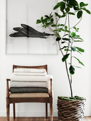 La Maison de Jessica de Ruiter et Jed Lind par Pia Ulin pour The Kinfolk Home