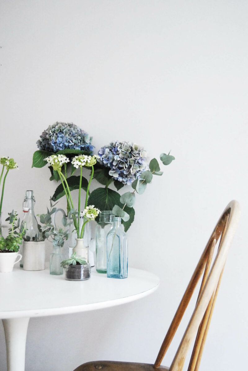 Catesthill blog - Urban Jungle bloggers plants & flowers