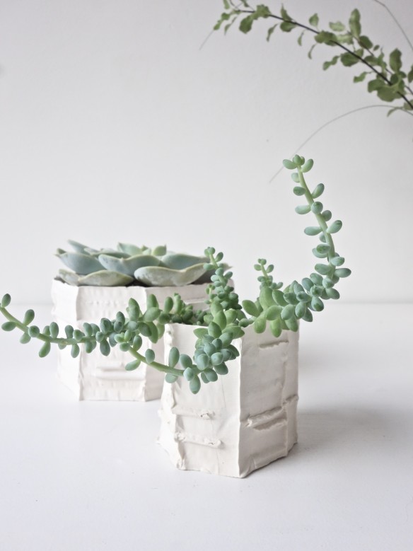 Eclectictrend blog - Urban Jungle plants & flowers