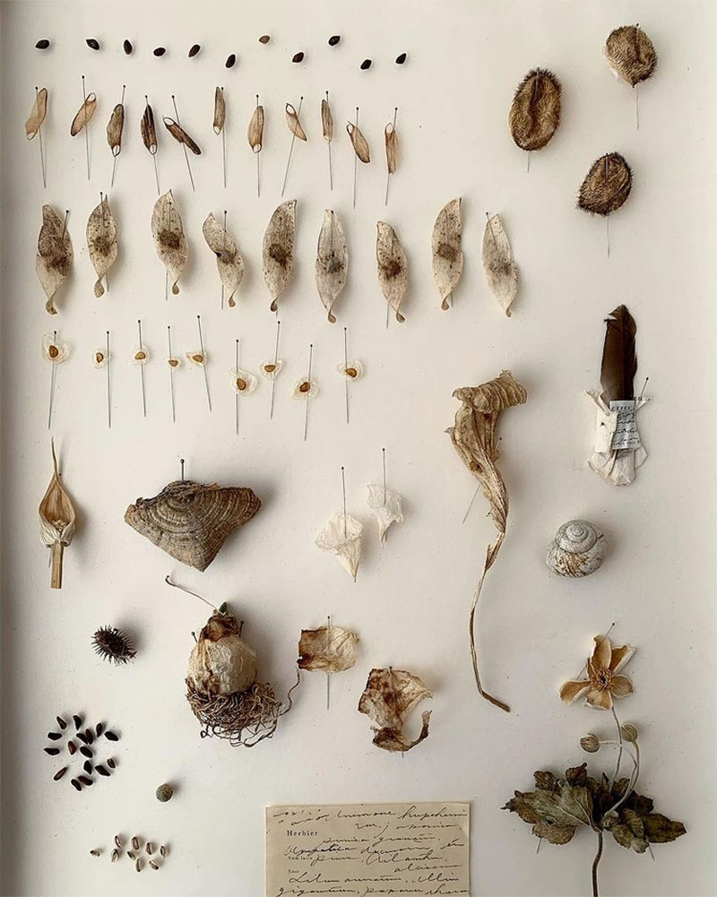 Les collectes de plantes de l'atelier Errer