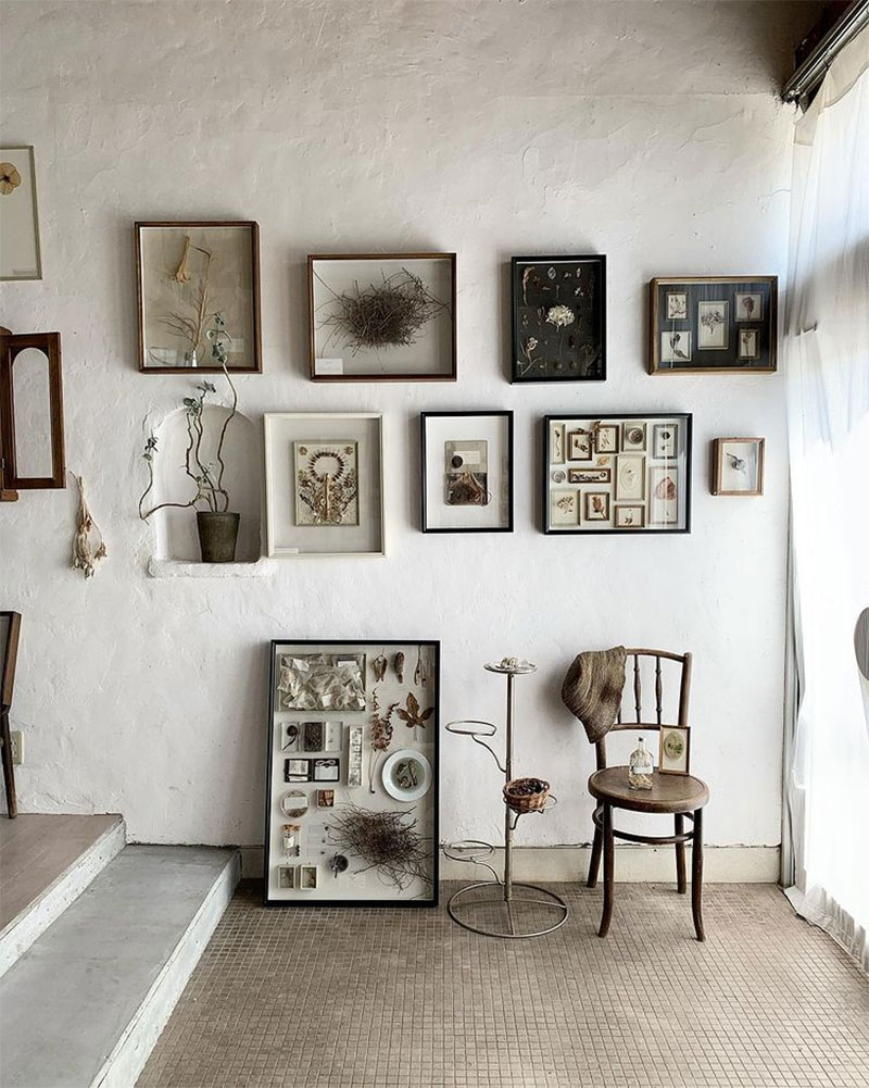 Les collectes de plantes de l'atelier Errer