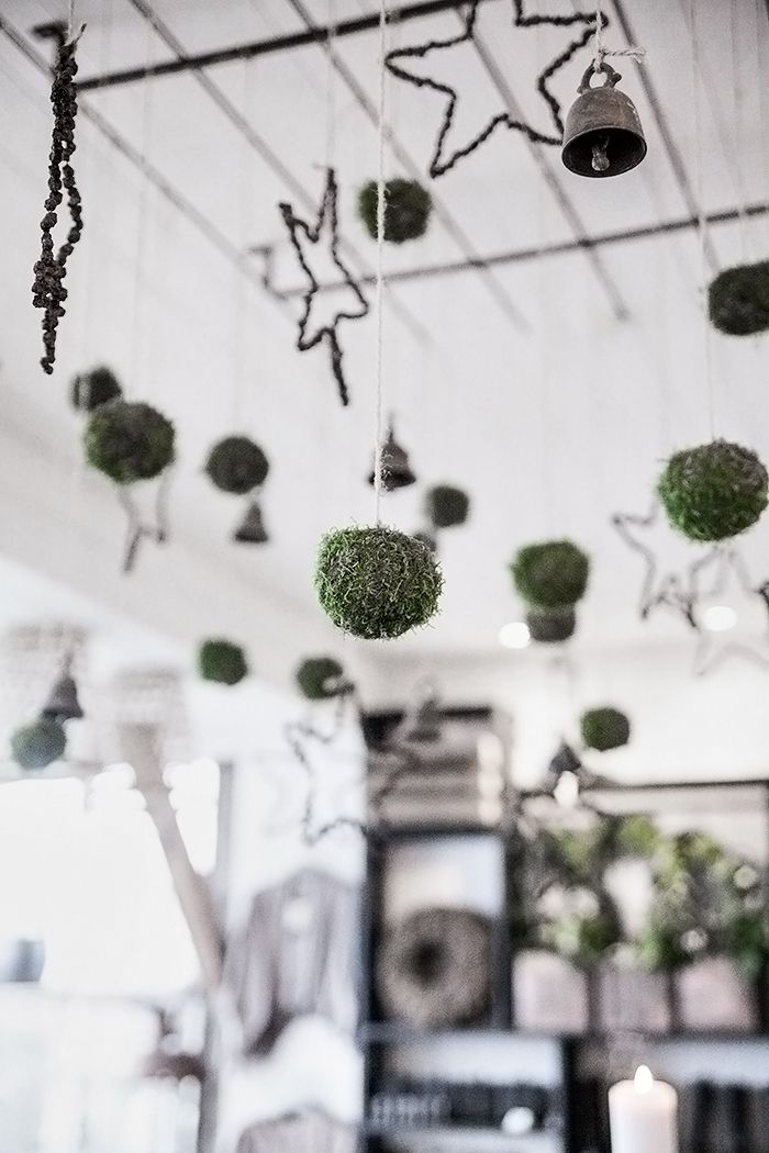 Décoration de noël naturelle à fabriquer || Kokedamas de Noël