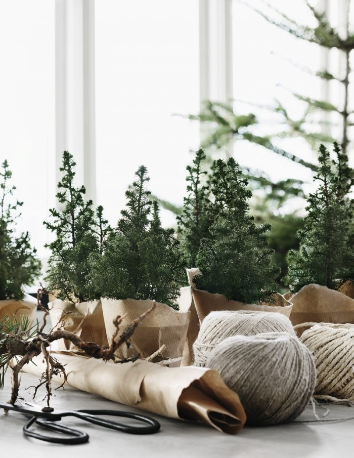 Décoration de Noël inspirée de la nature || Mini sapins de Noël dans du papier craft