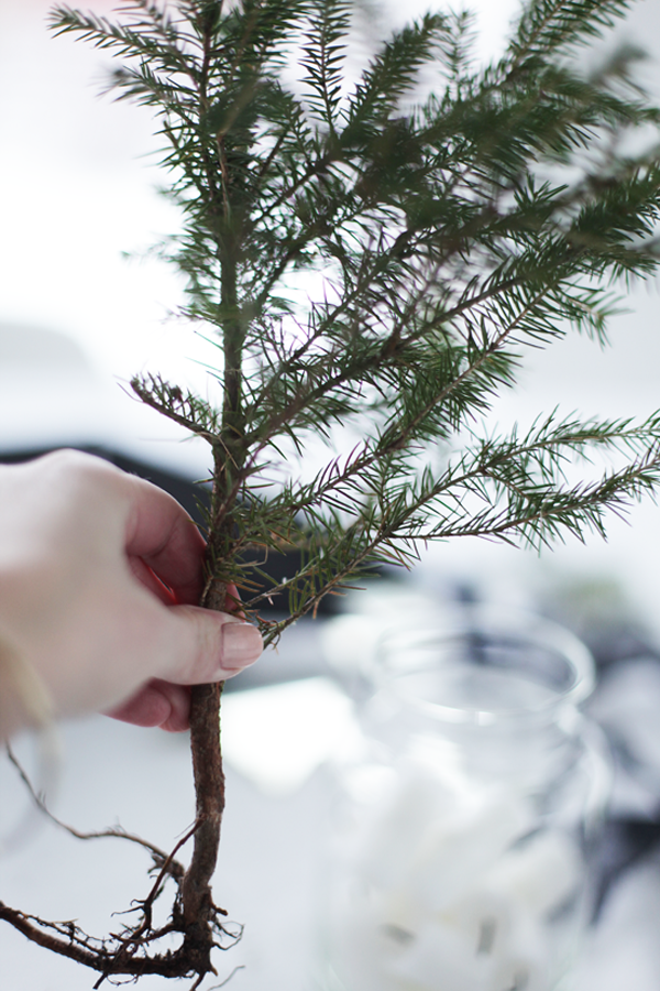 Décoration de Noël inspirée de la nature || Des branches de sapin dans des vases