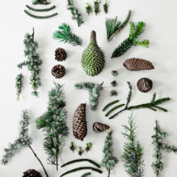 Décoration de Noël naturelle et végétale stylist-Fleur-McHarg_Vogue-living_1