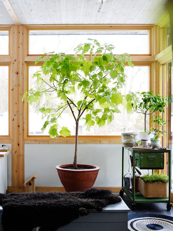 La maison de Calle Forsbergs et Marika Delins : Véranda en bois de chantier