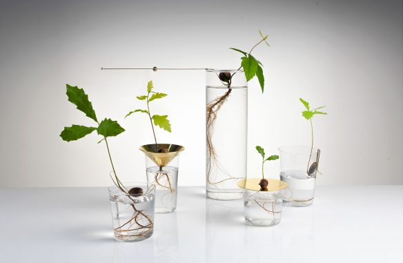 Série Floating Forest par Michael Anastassiades