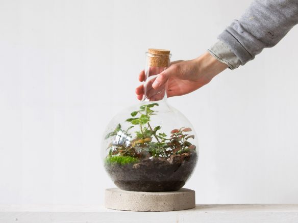 London Terrariums