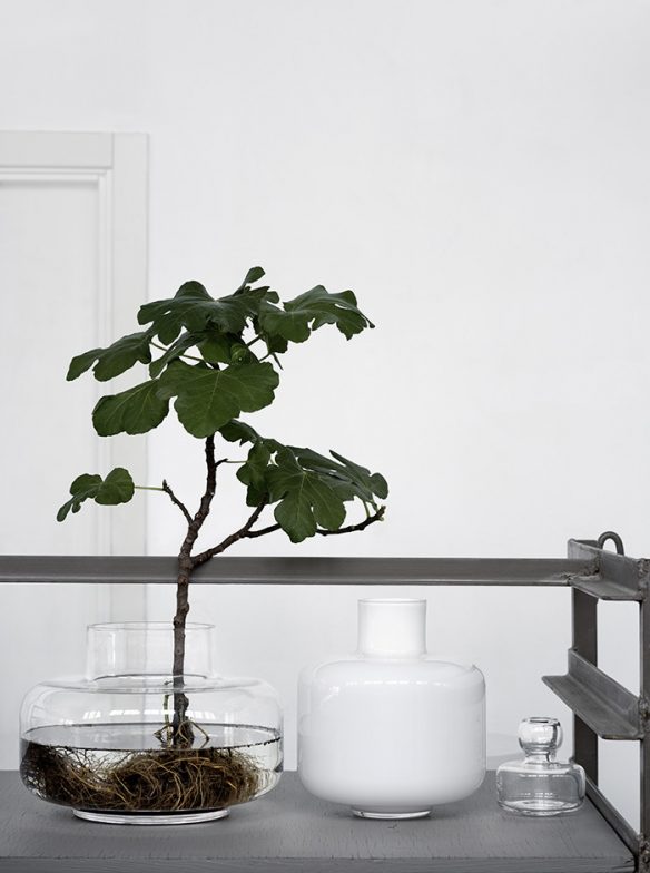 Lotta Agaton interiors - Vases et plantes