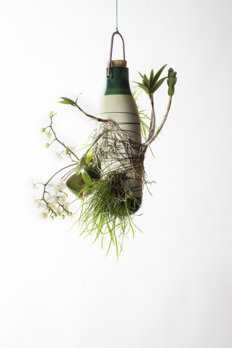 Epiphytes - Design Dossofiorito