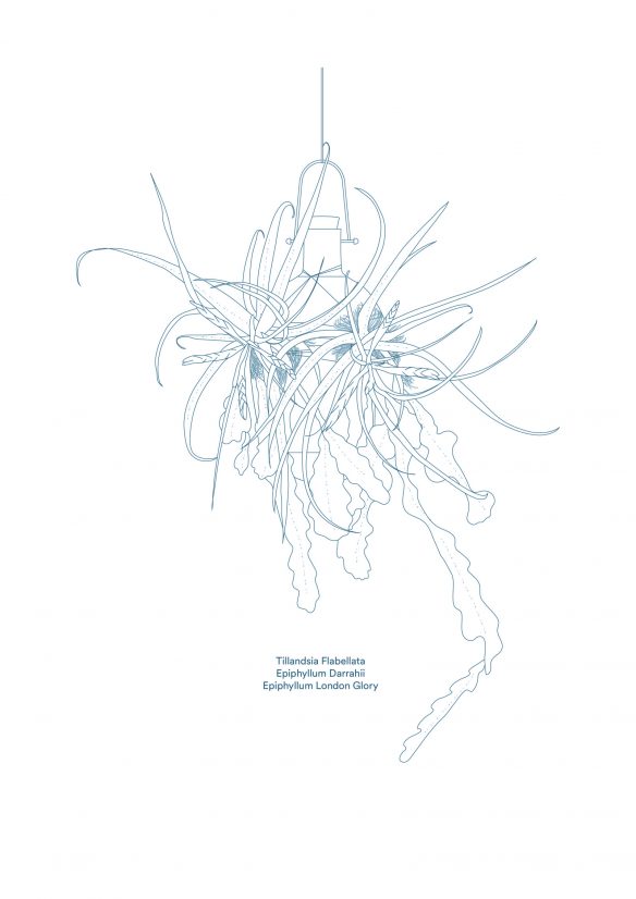 Epiphytes Print - Design Dossofiorito
