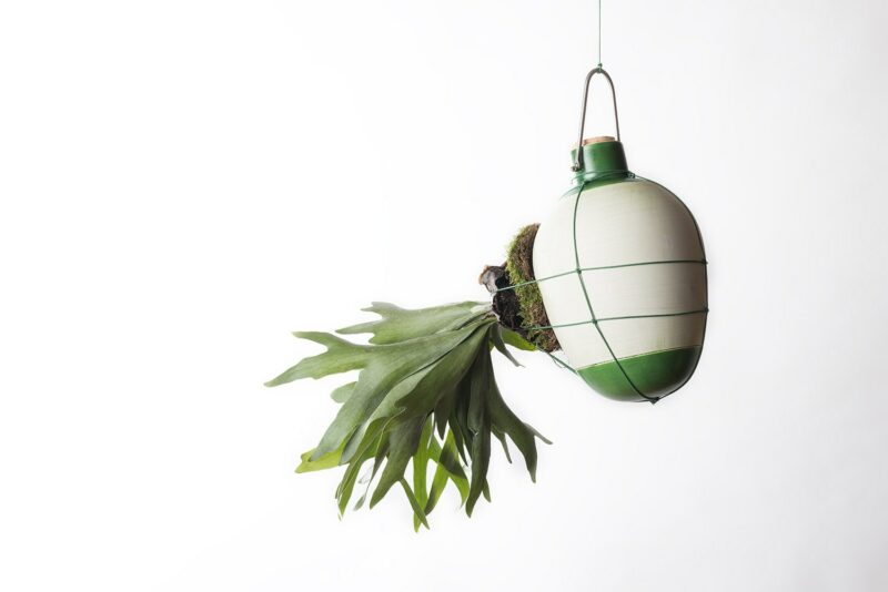 Epiphytes - Design Dossofiorito