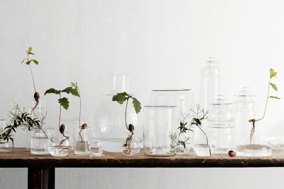 Lotta Agaton interiors - Vases et plantes