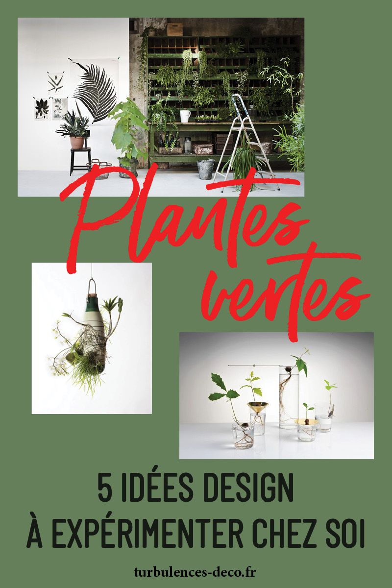 Plantes et design : 5 idées à expérimenter chez soi à découvrir sur Turbulences Design